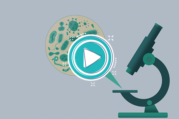 Video: Antibióticos - Ciencias Naturales C: El ser humano