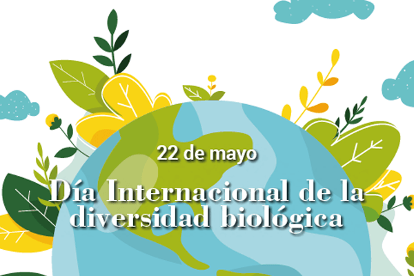 Proyecto pedagógico – Día Internacional de la Diversidad Biológica