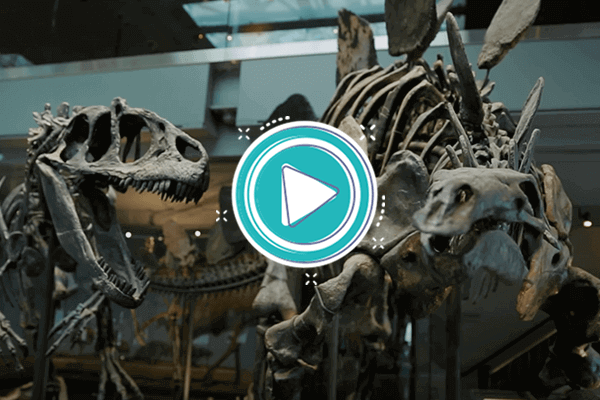 Video: Dinosaurios y el Diluvio - Orígenes: Cosmovisión y teorías