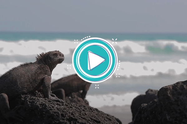 Video: Geología de las Galápagos - Ecología y biodiversidad